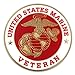 U.S. Marine Corps USMC Veteran Lapel Pin