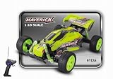51ZyMnPUCHL. SL160  1:18 Scale Off Road Extreme Buggy THE MAVERICK BAJA Electric RTR RC Buggy (Colors May Vary)