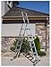 Tools & Hardware : Telesteps 12S Combiladder 300-Pound Duty Rating 8-1/2-Foot Stepladder and 12-Foot Extension Ladder