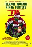 Teenage Mutant Ninja Turtles 3 Poster Movie 11x17 Elias Koteas Paige Turco Stuart Wilson Sab Shimono