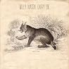 Image of album by Willy Mason