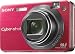 Sony Cybershot DSCW170/R 10.1MP Digital Camera with 5x Optical Zoom with Super Steady Shot (Red) 