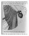 Historic Print (L): Black Beard's head on the end of the bowsprit