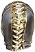 Deportes Martinez Pick Your Adult Size Luchador Lucha Libre Mexican Wrestling Mask Pro-Fit Mask