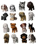 Puppy in my Pocket - QUAD ANIMAL PACKS OFFER