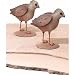 Sculpted Art 3D Metal - Quail Fowl Bird Chicks (R226) by Regal Gift