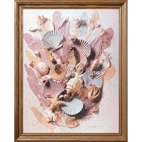 Ocean Sea Shell Starfish Beach Bathroom Wall Decor Picture Framed Art Print