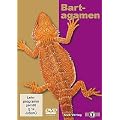 Bartagamen, DVD-ROM