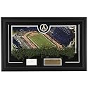 Appalachian State Mountaineers 20'' x 32'' Game-Used Turf Plaque