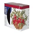 Hanging Tomato Basket