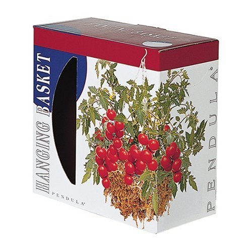 Hanging Tomato Basket