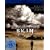 Reflecting Skin - Schrei in der Stille [Blu-ray]