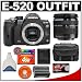 Olympus Evolt E-520 Digital SLR Camera with 14-42mm f/3.5-5.6 Lens + 4GB CF Memory Card + BLM-1 Battery + Cameta Bonus Accessory Kit