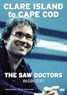 The Saw Doctors...