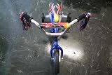 Wheelstar 12 Boys Girls Kids BMX Bike Bicycle