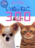 ��������! ���̤Ȥͤ� 300 (���󤭥����ѡ����󤵤ĳ��� 12)