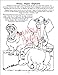 A Day at the Zoo Coloring Book