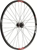 DT SWISS Paire de Roues M-1900 IS Avt 100/5mm, Ar 135/5mm Roue VTT paire