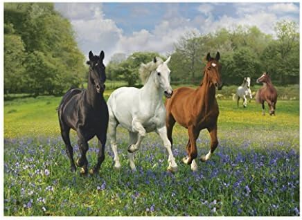 Clementoni Horses Puzzle (1000-Piece) by Modello