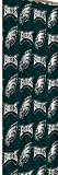 NFL Philadelphia Eagles 72-Inch-by-72-Inch Shower Curtain