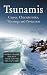 Tsunamis: Causes, Characteristics, Warnings and Protection (Natural Disaster Research, Prediction and Mitigation)