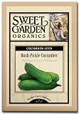 Bush Pickle Cucumber - Heirloom Seeds