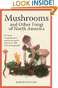 Mushrooms and Other Fungi of North America