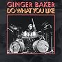 Do What You Like ~ Ginger Baker