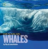 Face to face with whales
