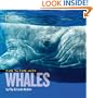 Face to Face With Whales (Face to Face with Animals)