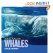 Face to Face With Whales (Face to Face with Animals)