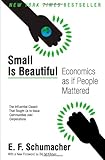 Small Is Beautiful: Economics as if People Mattered
