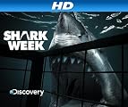 play video on Amazon Prime