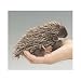 Folkmanis Mini Porcupine Finger Puppet