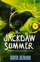 Jackdaw Summer