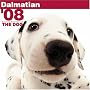 Dalmatian 2008 Square Wall Calendar (German, French and Spanish Edition)