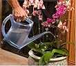 Enki Super-Oxygenating Plant Watering Device