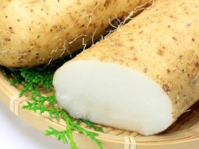 山芋習慣　１袋（124包入）
