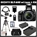 Sony a (alpha) SLT-A65V (A65) - Digital camera - SLR - 24.3 Mpix - Sony DT 18-55mm lens - SSE Package: Wireless Remote, Full Size Tripod, Replacement FM500H Battery, Rapid Travel Charger, 16GB SDHC Memory Card, Card Reader, Carrying Case, HDMI Cable, Shoe Mount Flash & SSE Microfiber Cleaning Cloth