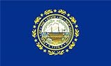 New Hampshire 3'x5'State Flag - Polyester