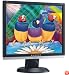ViewSonic VA926 19-inch LCD Monitor