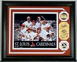 St. Louis Cardinals Team Force Framed 8 x 10 Photograph and Medallion Set from The Highland Mint