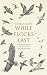While Flocks Last: An Armchair Birdwatcher Goes In Search Of Britain's Most Endangered Species