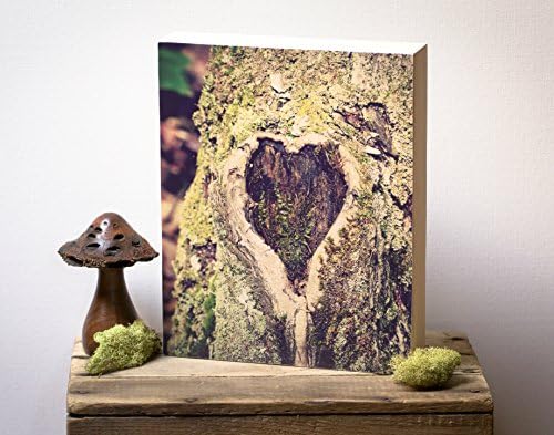 "Love Knot" Tree Heart Forest Photography Wood Art Block