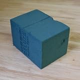 オアシス