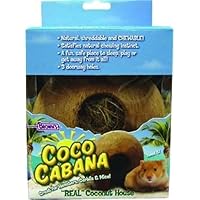 F.M. Brown's Coco Cabana Real Coconut House with Three Doorway Holes