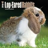 lop eared rabbits 2016 square 12x12 multilingual edition