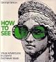 How to See: Visual Adventures in a World God Never Made