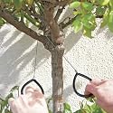 Master Craft Stainless Steel Cable Saw