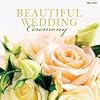 Beautiful Wedding: Ceremony